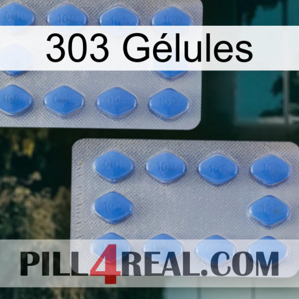 303 Gélules 20.jpg